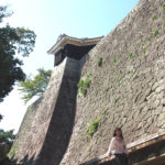 Die Burg in Matsuyama