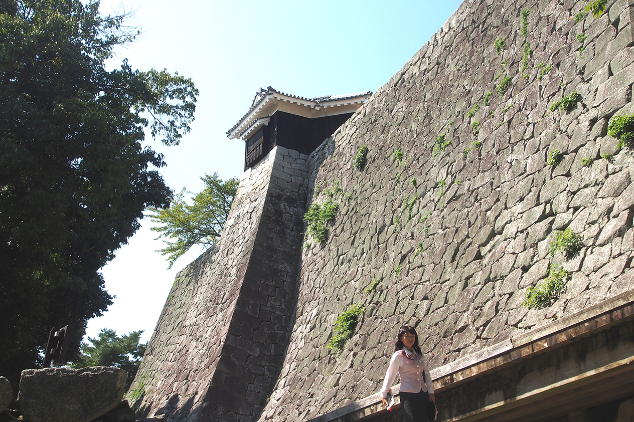 Die Burg in Matsuyama