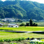 Landwirtschaft auf der Insel Shikoku