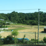 Landwirtschaft auf der Insel Shikoku